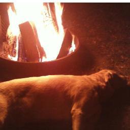 aimsterv's profile picture. 