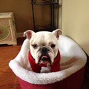 harry schnabel - @harrydawg32 - Twitter