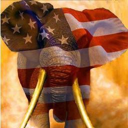 RocklandRepubs's profile picture. Join us to restore Republicanism, Accountability, Honor, Loyalty, & Transparency to the Rockland Republican Party!