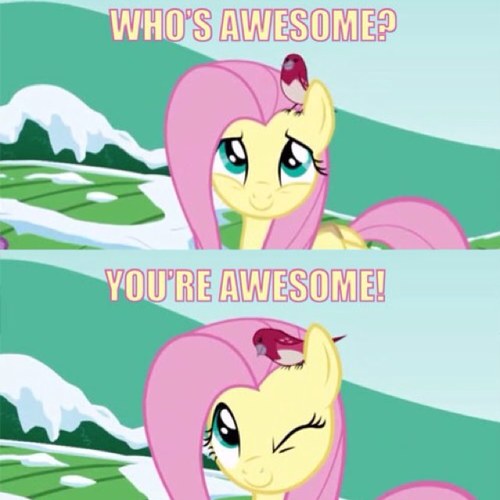 Hi, well be uploading #BonyPictures everyday ! And giving #BronyShoutOuts Real Account: @DCCMM_Owner