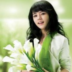 Máy hủy hồ sơ, máy hủy tài liệu