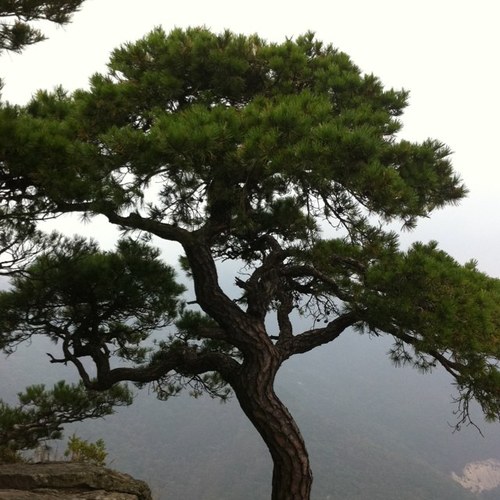 가장 중요한 것은 일도, 물질의 만족도, 자유로운 시간도 아닌 주변 사람들과의 소중한 관계