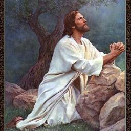 Vigiai e orai, para que não entreis em tentação; na verdade, o espírito está pronto, mas a carne é fraca. Mateus 26:41