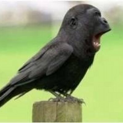 mooo (mooo_w) Twitter