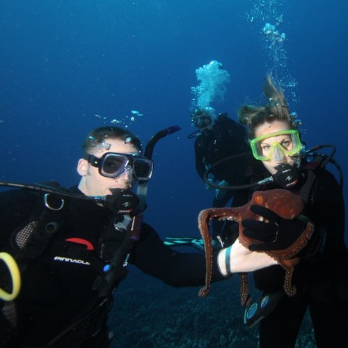 h2olite02's profile picture. Husband, Father of 3 boys, Senior Advocate