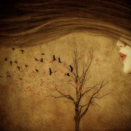 PhotoParadiiise's profile picture. sadece fotoğraf