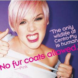 I have always loved P!nk from the moment I heard her voice. her music is amazing. I also absolutely love animals: they are amazing:)(veggie 4ever)