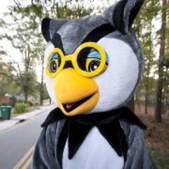 The Spooktacular Chase is an annual 5K/10K Halloween themed race in Powder Springs, GA, benefiting the Vision Rehabilitation Services of Georgia.