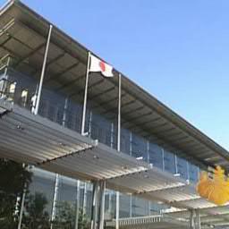 seihuseihu's profile picture. 