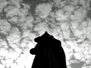 Delcampo's profile picture. 