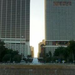 SusanEddings's profile picture. Grandmother, mother, daughter, sister, niece, granddaughter, friend, loved, blessed :)