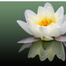 vivita2008's profile picture. Independiente