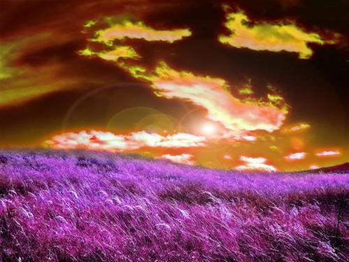 God, grant me the serenity to accept the things I cannot change,
The courage to change the things I can,
And the wisdom to know the difference.
