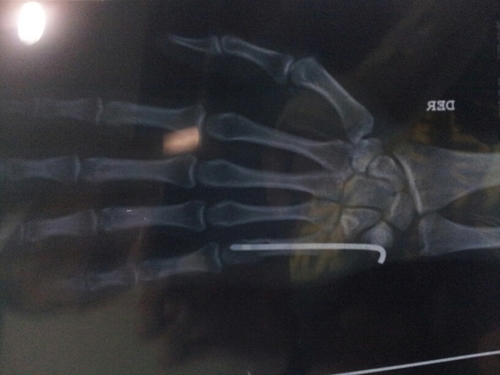 Daniel_Ubaldo_M's profile picture. 