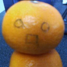 Visdon's profile picture. ゆかり王国の塵です。
北海道コンサドーレ札幌と読売ジャイアンツもゆるく応援しています。