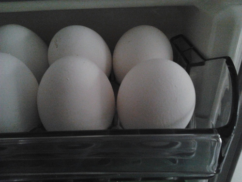 LulaLevati's profile picture. 