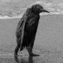 Michael Brabec - @BrabecMichael - Twitter