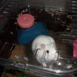 camilla123kitty's profile picture. 