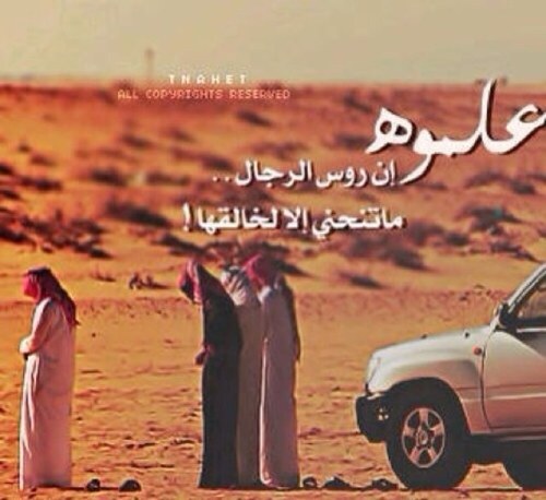 suli7788's profile picture. 