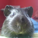 Kathy Hartmann - @mjj_janet - Twitter