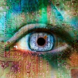 MKPoe1's profile picture. Novelist, Columnist, Seeker of Truth