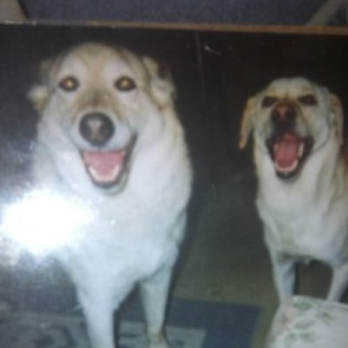 Maxxearl's profile picture. 