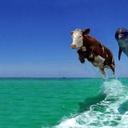 Peyton Larson - @PeytonLarson - Twitter