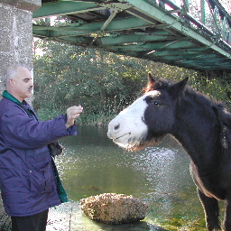 Raouf Ben Ghozlane