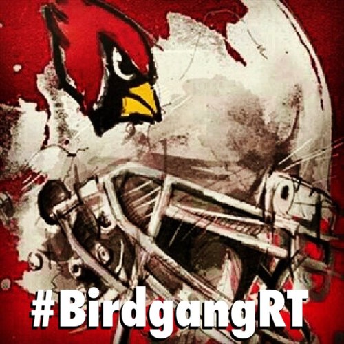 A twitter hub to connect the whole #BIRDGANG fam together!! I will follow & RT all #AzCardinals fans!........Tweet using #BirdgangRT