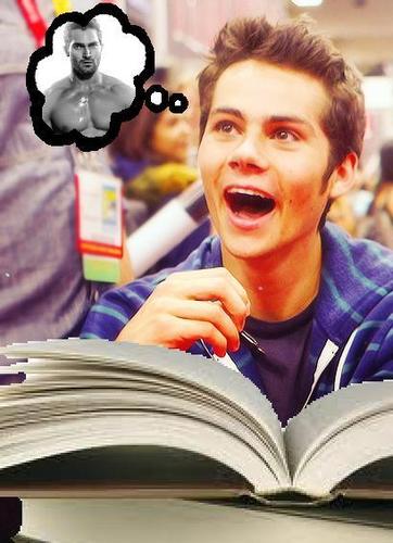 Teen Wolf, Llamas, Darren Criss, Gossip Girl, Rachel Berry, Harry Potter, A Very Potter Musical, TG, and Glee! = my favourite things!