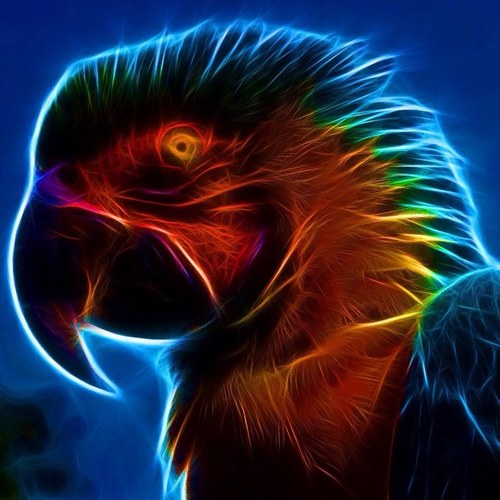 netplusbrian's profile picture. 