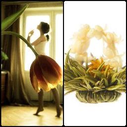 KariboRU's profile picture. #russia интернет-магазин karibo.ru, прекрасная посуда должна быть в каждом доме.