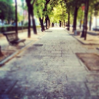 f_b_c_8smile's profile picture. Gleek !!