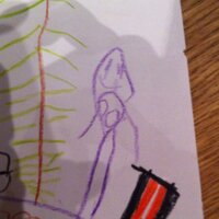 Sanita Jemberga (@jemberga) 's Twitter Profile