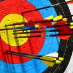 Bogengilde's profile picture. Traditionelles Bogenschießen an der Hermann-Lietz-Schule Haubinda