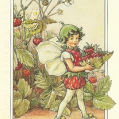 For children of all ages. Magical stories from Annandon, beginning with Alfie, the helpful elf who gets into all sorts of adventures without even trying ...