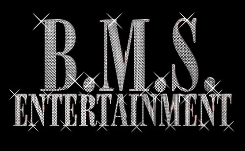 B.M.S. ENT. has been a ongoing company for 5 yrs whose goal is to provide artist development, artist exposure and also the opportunity to advance your career.