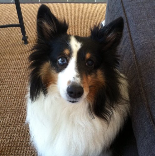 LexyTretter's profile picture. 