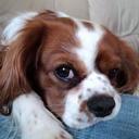 Derek Hopper - @hecla5719 - Twitter