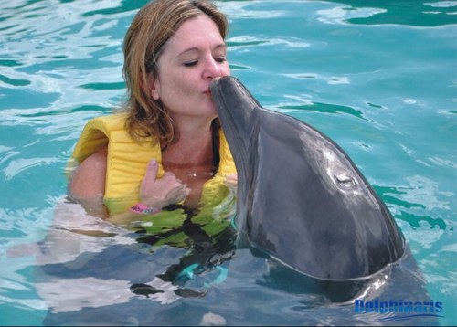 alohashannon86's profile picture. 