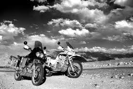 NikolasLe's profile picture. 