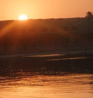 omnity_Aljna's profile picture. 