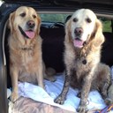 Joanne Hooper - @Jojohoops - Twitter