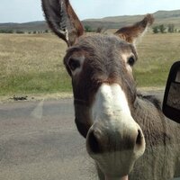 Bane (@sith_speed) 's Twitter Profile