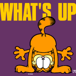 labikj's profile picture.