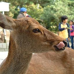 【相互フォロー大歓迎】 バイナリーオプションやってます。 GMOがメインですが、いくつか口座は作っています。
勝率80％を目指しています。成績はホームページにも上げていますので、良かったら見てください。