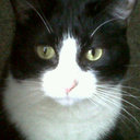 Iona Patterson - @mswhiteandnerdy - Twitter