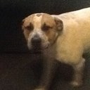 isaac willis - @isaacwillis_ - Twitter