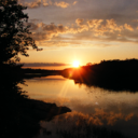 Pam Fleming - @Pam_ela67 - Twitter