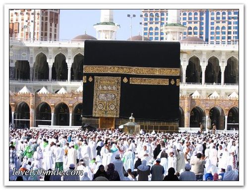 مسؤولة اللجنة النسائيه فرع الاندلس في جمعية أحياء التراث الاسلامي مسؤولة اللجنه النسائيه في حملة الياسين الوقفيه